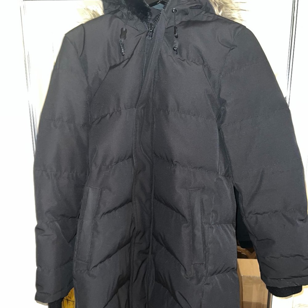 Aritzia The Powder Parka Coat